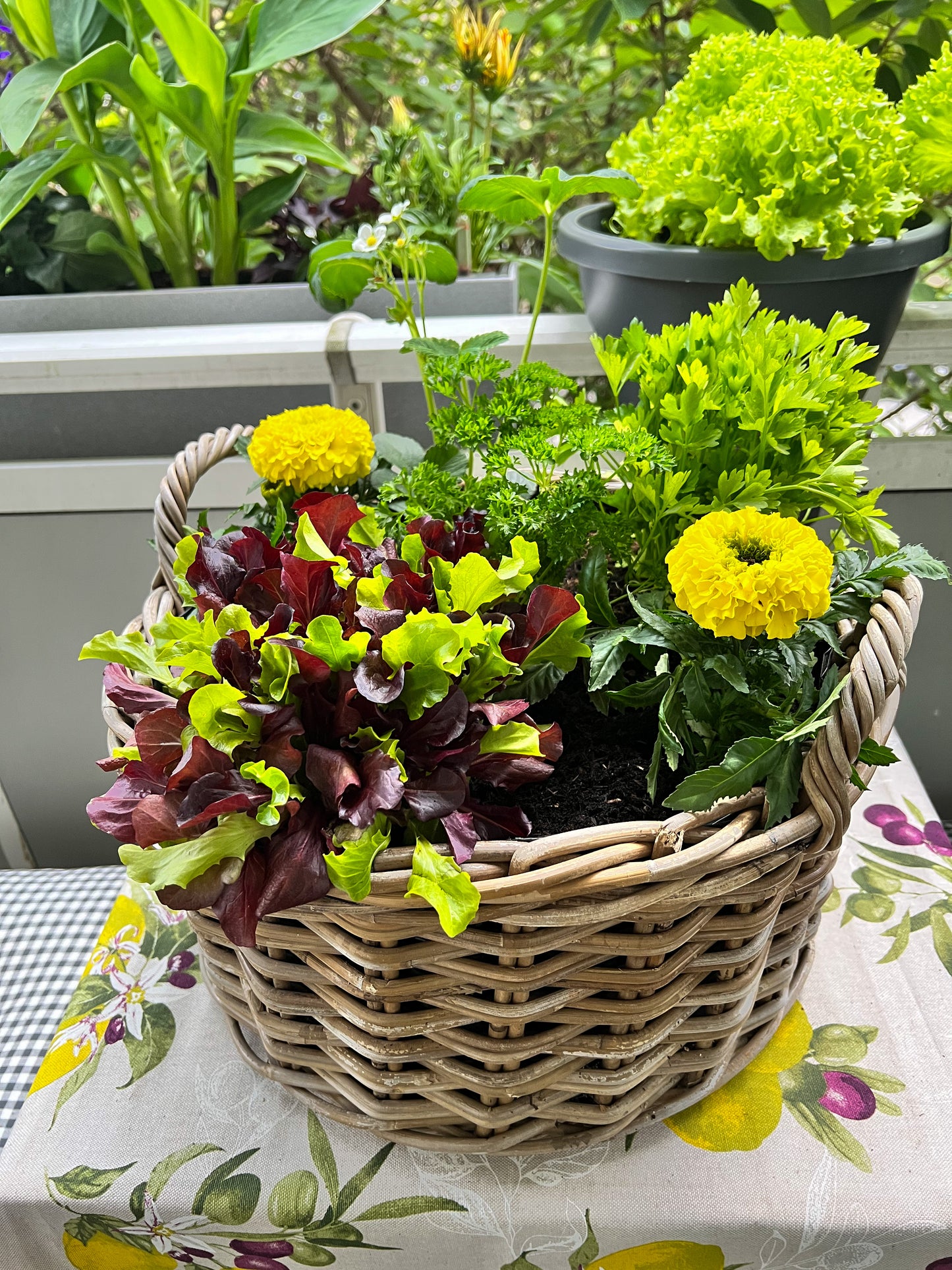 Rattan-Pflanzkorb (klein)