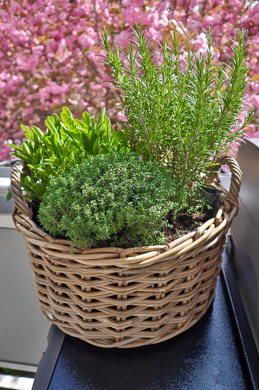 Rattan-Pflanzkorb (groß)