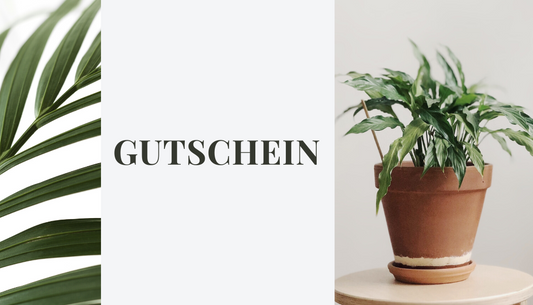 Designablehome Geschenkgutschein