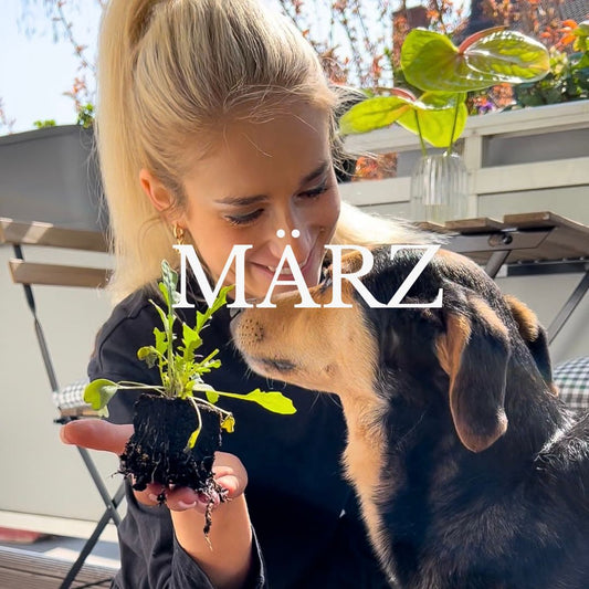 März